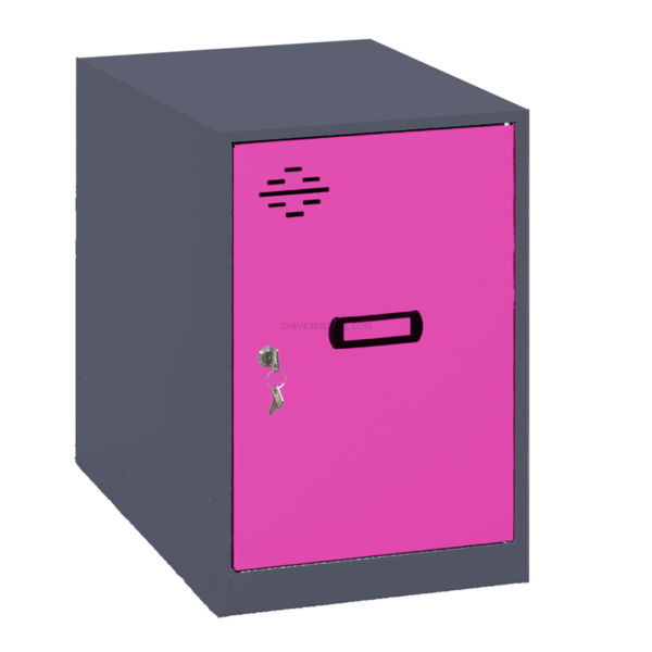 Cacifo Metálico SIMONLOCKER Montado MINI 475X400X500 mm ANT/ROS
