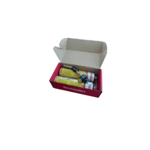 Maçarico de Soldadura Castolin 45090XPC com 2 Botijas de Gás 1450